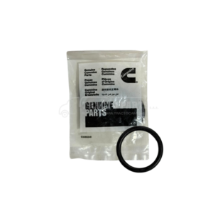 3683814 Oring Tubo de Transferencia